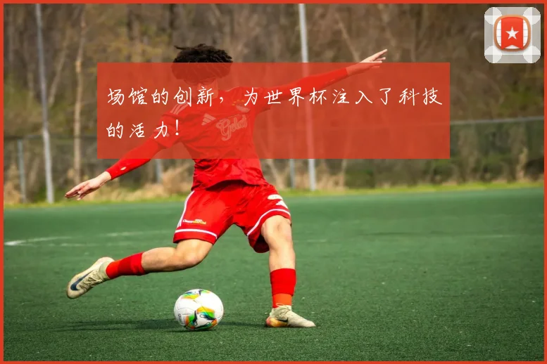 场馆的创新，为世界杯注入了科技的活力！